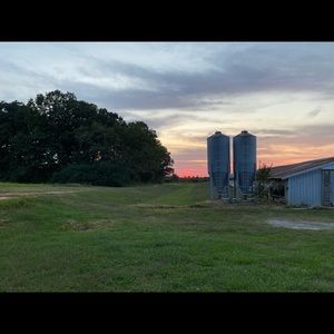 Meet your Posher, Mary-claire